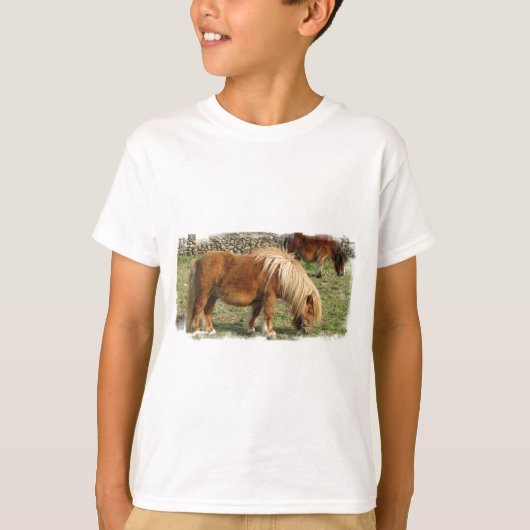 シャギーなシェトランド諸島子馬の子供のTシャツ Tシャツ (正面)