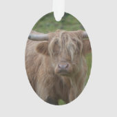 シャギーなブロンドの高地牛 オーナメント (裏面)