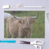 シャギーなブロンドの高地牛 薄葉紙 (クラフト)