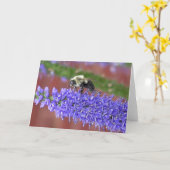 シャギーな蜂 カード (黄色い花)