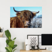 シャギーな高地ビーフカウオイル塗装 ポスター (ホームオフィス)