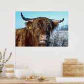 シャギーな高地ビーフカウオイル塗装 ポスター (キッチン)