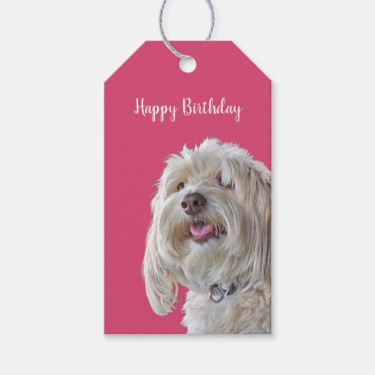 シャギーのプードルオンピンク ギフトタグ (正面)