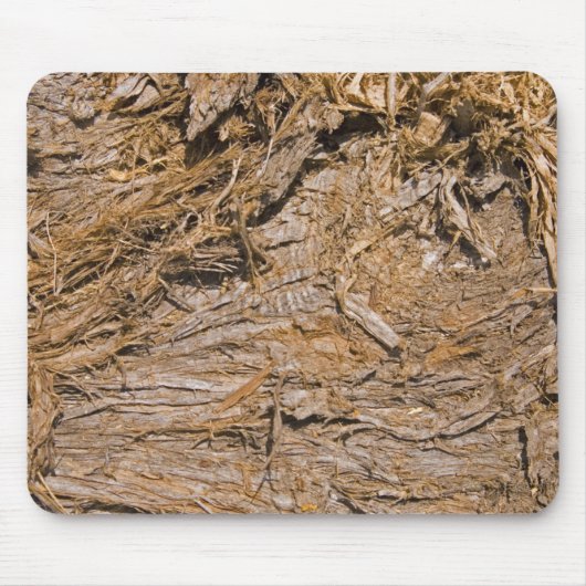 シャギーの樹皮ジュニパー写真 マウスパッド (正面)