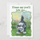 シャギーシープドッグパーティーセンター 招待状 (正面)