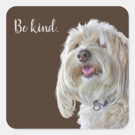 シャギープードル引用文 スクエアシール