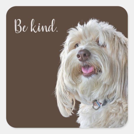 シャギープードル引用文 スクエアシール (正面)