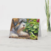 シャギー犬とカエル誕生日 カード (正面)