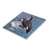 シャククジラが水から飛び出す タイル (側面)