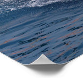 シャククジラが水から飛び出す ポスター (角)