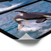 シャククジラのモザイク写真 ポスター (角)