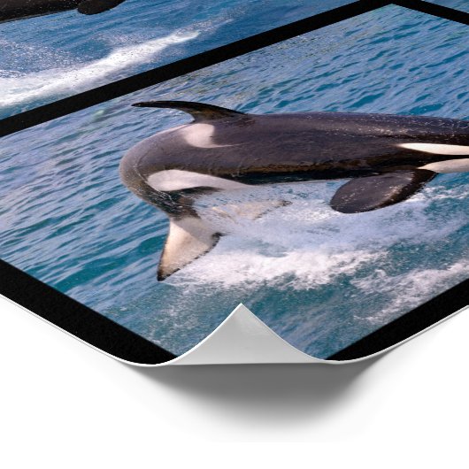 シャククジラのモザイク写真 ポスター (角)