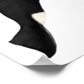 シャククジラ ポスター (角)