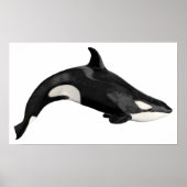 シャククジラ ポスター (正面)