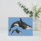 シャククジラ ポストカード (スタンド正面)