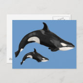 シャククジラ ポストカード (正面/裏面)