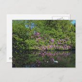 シャクナゲとゲーゼ。ロアースパークレイクカーディフ ポストカード (正面/裏面)