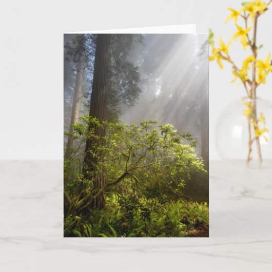 シャクナゲの朝霧 カード (黄色い花)