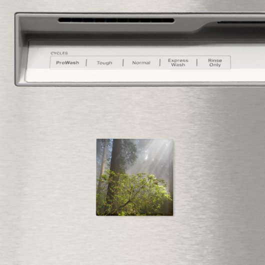 シャクナゲの朝霧 マグネット (インサイチュ (食洗機))