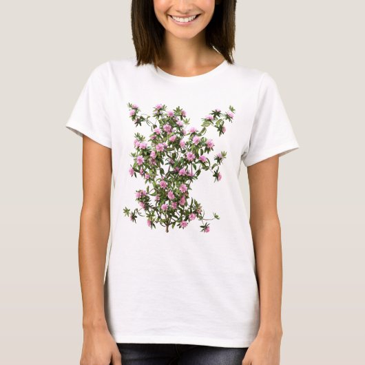 シャクナゲの植物画フラワー Tシャツ (正面)