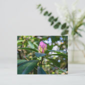 シャクナゲの花芽 ポストカード (スタンド正面)