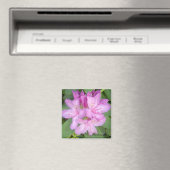 シャクナゲの花 マグネット (インサイチュ (食洗機))
