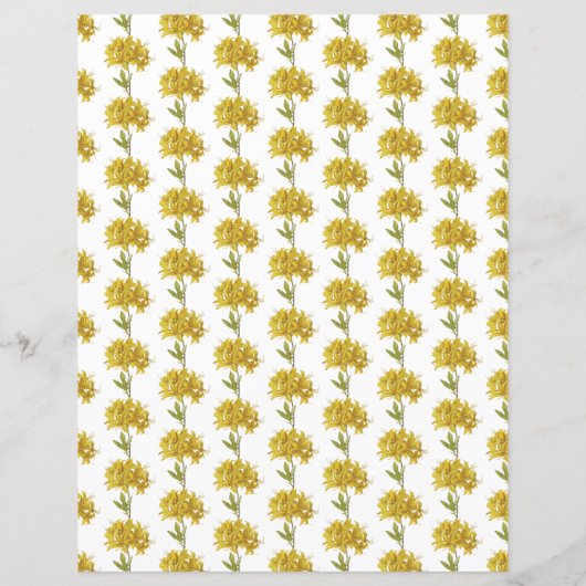 シャクナゲの黄体(オナギク) (裏面)