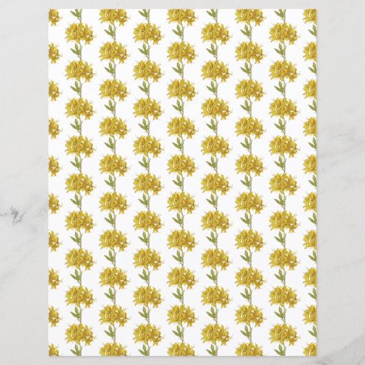 シャクナゲの黄体（オナギク） (正面)