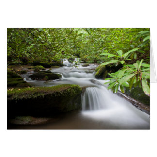 シャクナゲカードの下