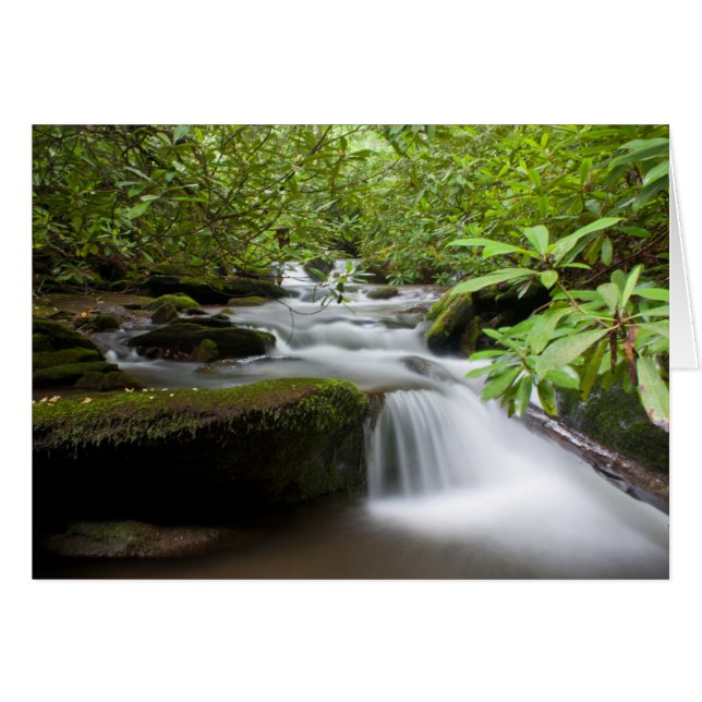 シャクナゲカードの下 (正面横)