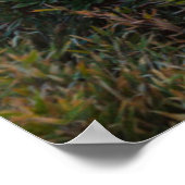 シャクナゲ咲き |多呂子国立公園 ポスター (角)