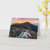 シャクナゲ咲く|太魯閣国家公園 カード (黄色い花)