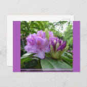 シャクナゲ花と芽DIYはがき ポストカード (正面/裏面)