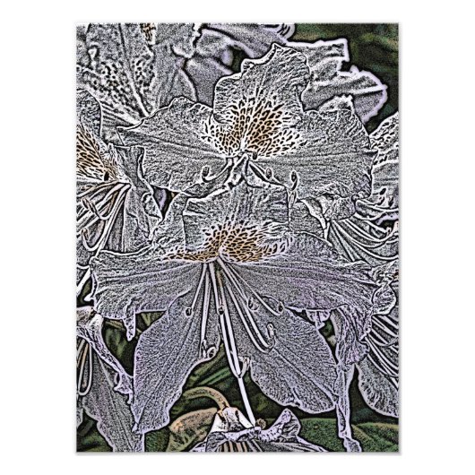 シャクナゲ花 フォトプリント            (正面)