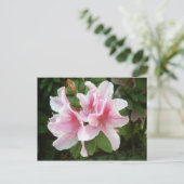 シャクナゲ花 ポストカード (スタンド正面)