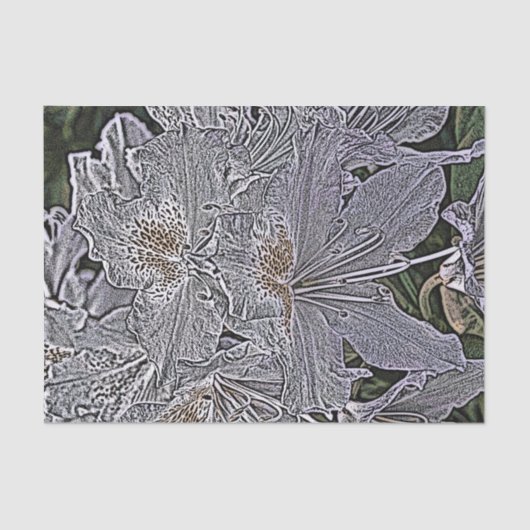 シャクナゲ花 薄葉紙 (正面)