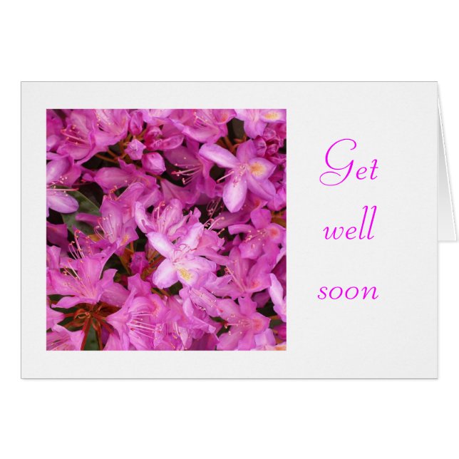 シャクナゲ (正面横)