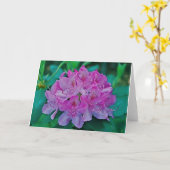 シャクナゲ カード (黄色い花)