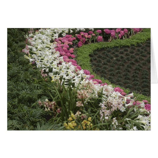 シャクナゲ（シャクナゲ）ヒース (正面横)