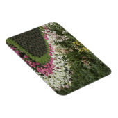 シャクナゲ(シャクナゲ)ヒース マグネット (右側)