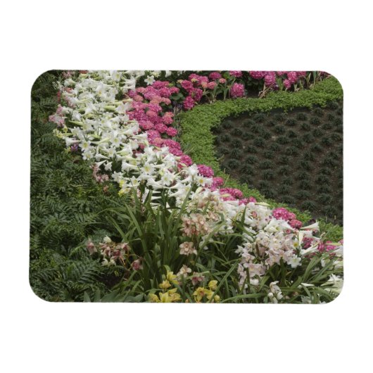 シャクナゲ(シャクナゲ)ヒース マグネット (横)