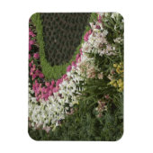 シャクナゲ(シャクナゲ)ヒース マグネット (縦)