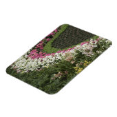 シャクナゲ(シャクナゲ)ヒース マグネット (左側)