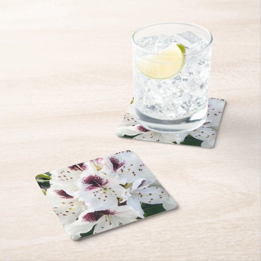 シャクナゲ スクエアペーパーコースター (インサイチュ)