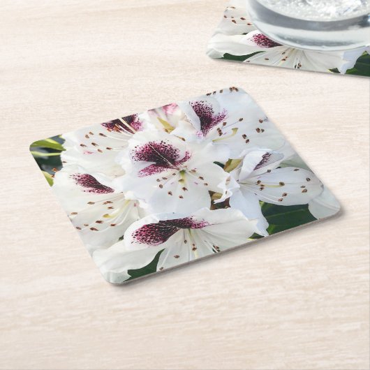 シャクナゲ スクエアペーパーコースター (アングル)