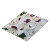 シャクナゲ タイル (側面)