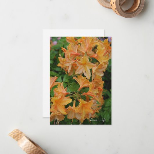 シャクナゲ ノートカード (正面/裏面インサイチュ)