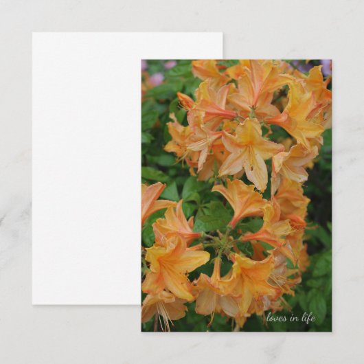 シャクナゲ ノートカード (正面/裏面)