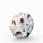 シャクナゲ フォトブロック (左)