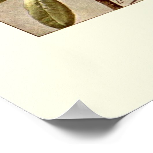 シャクナゲ ポスター (角)